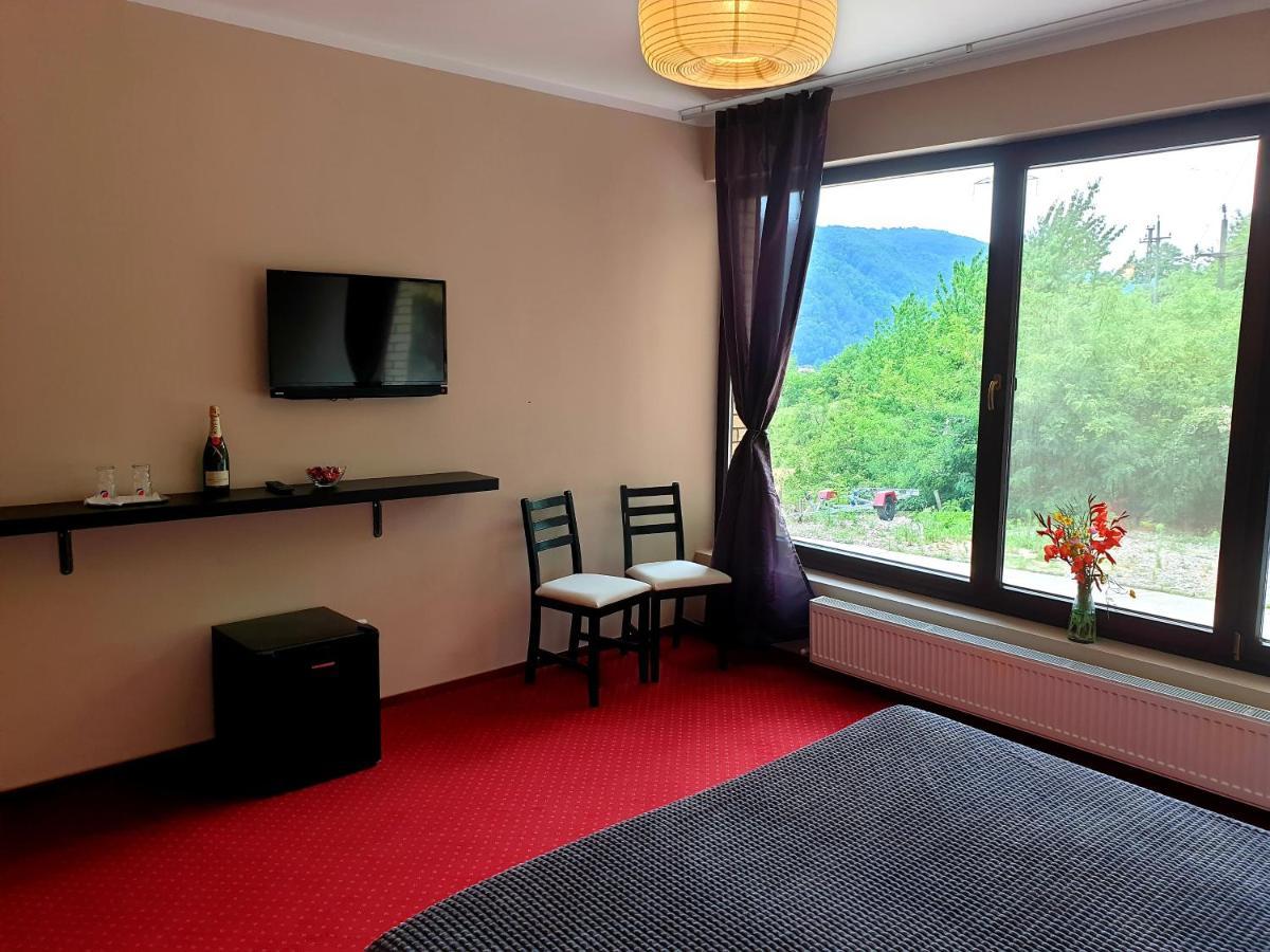 Rex Infinity View 4* Cazanele Dunarii Dubova Exterior foto